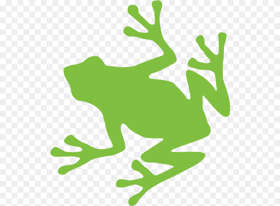 Green Frog Retina Graphic Sea Turtle Emoji Copy And Paste, Amphibian, Animal, Wildlife, Tree Frog Free Png