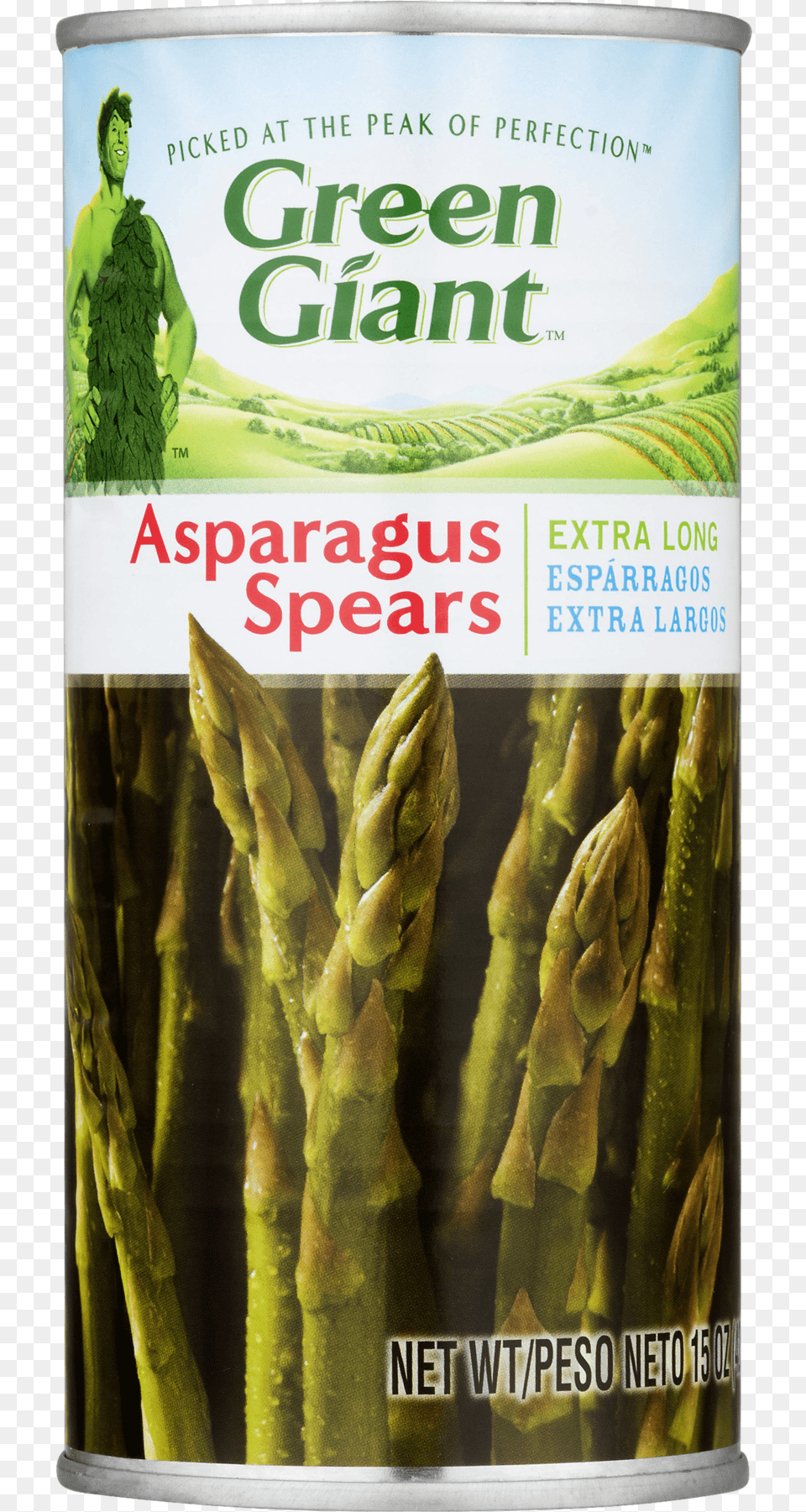 Green Giant Asparagus Spears, Adult, Female, Person, Woman Png Image