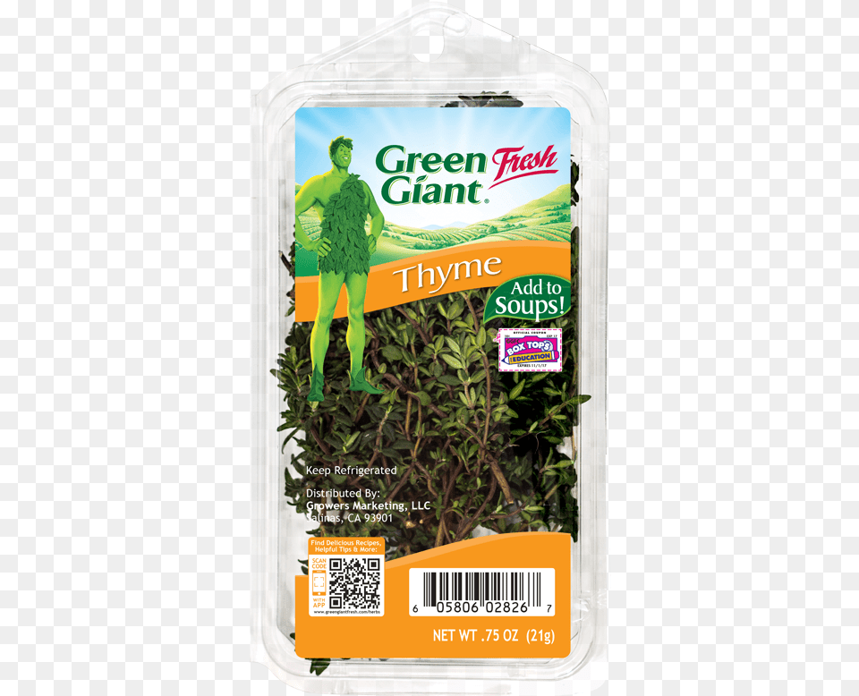 Green Giant Fresh Mint, Herbal, Herbs, Plant, Qr Code Png