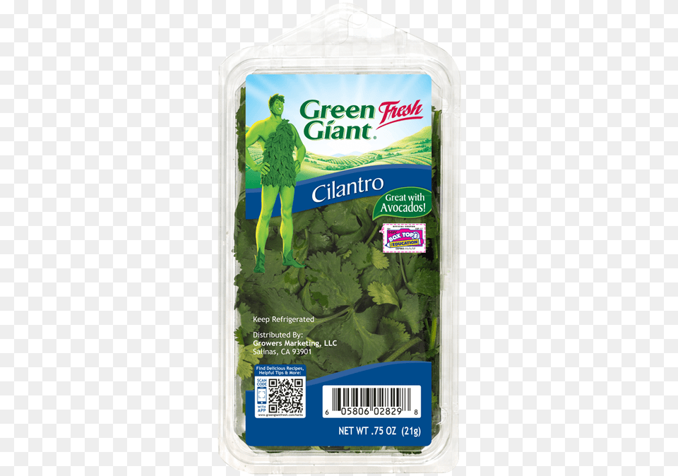 Green Giant Fresh Mint, Herbs, Plant, Parsley, Qr Code Free Transparent Png