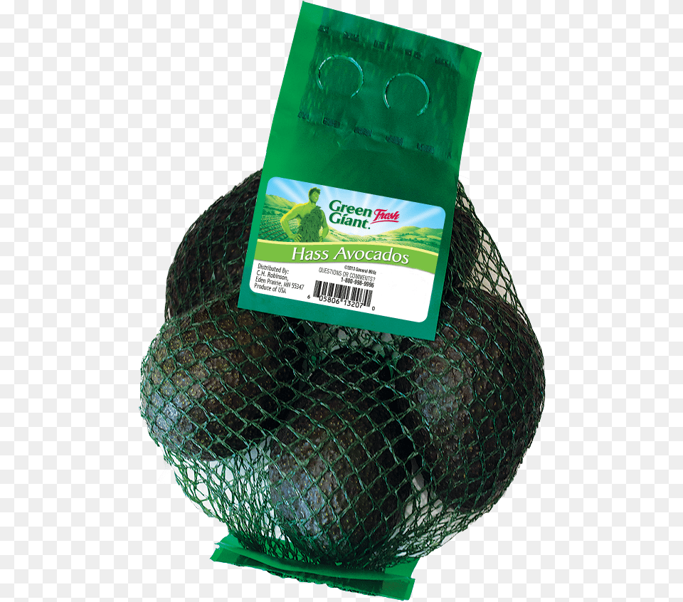 Green Giant Hass Avocado, Food, Fruit, Plant, Produce Free Png Download