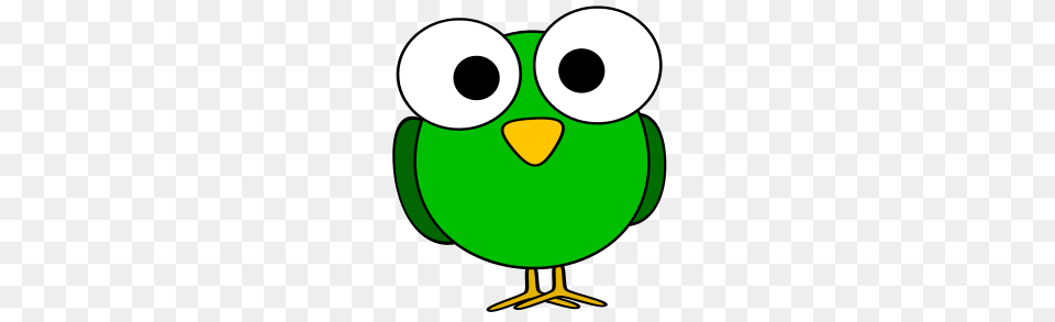Green Googly Eye Bird, Animal, Beak Png Image