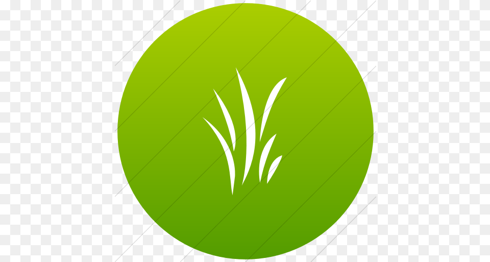 Green Gradient Classica Grass Icon G In Yellow Circle, Leaf, Plant, Herbal, Herbs Free Png Download