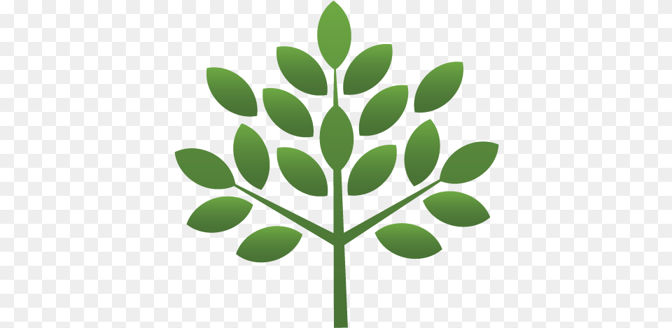 Green Gradient Tree Circle, Herbal, Herbs, Leaf, Plant Free Transparent Png