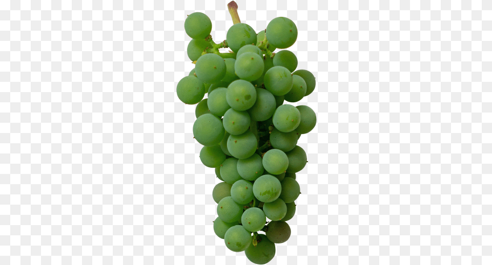 Green Grape Grape, Food, Fruit, Grapes, Plant Free Png