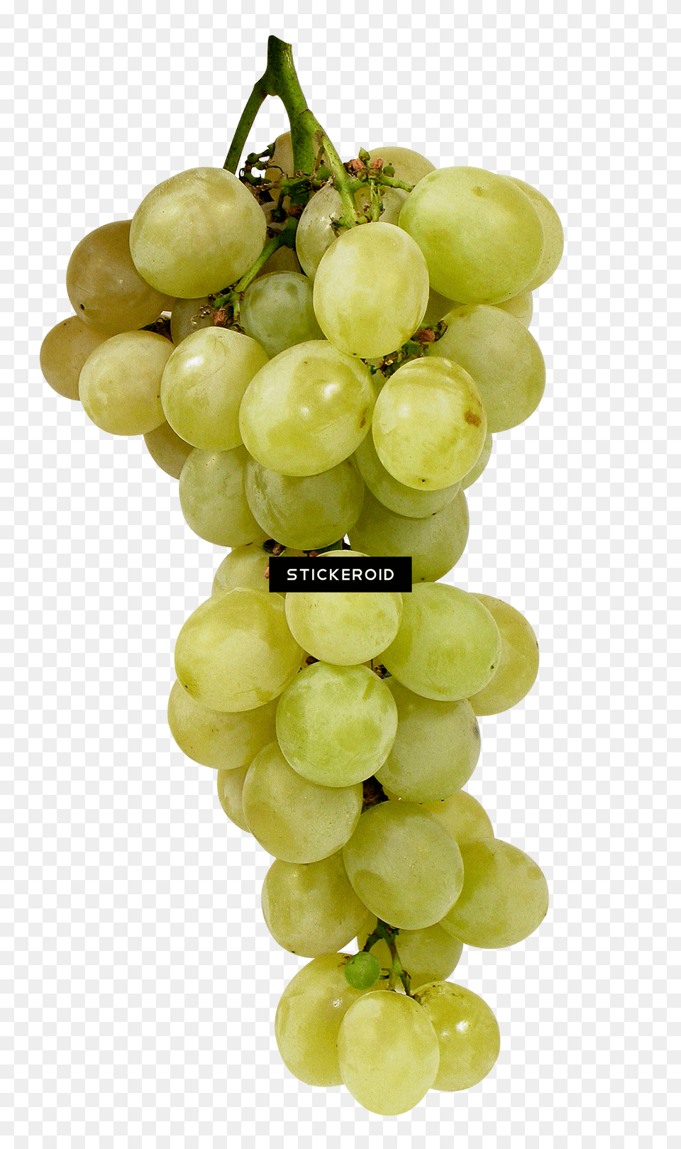 Green Grape Grape, Food, Fruit, Grapes, Plant Free Transparent Png