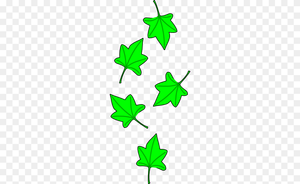 Green Grape Tree Leaves, Leaf, Plant, Animal, Fish Png