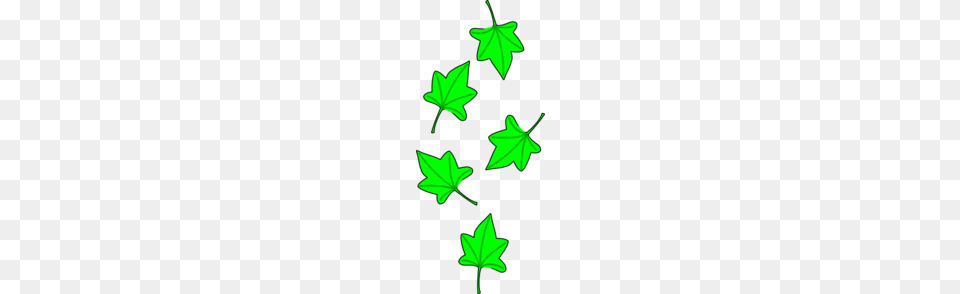 Green Grape Tree Leaves Clip Art, Leaf, Plant, Symbol, Maple Leaf Free Png