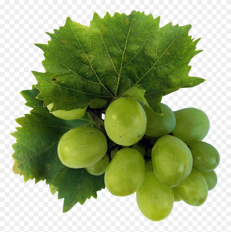 Green Grapes, Food, Fruit, Plant, Produce Free Png