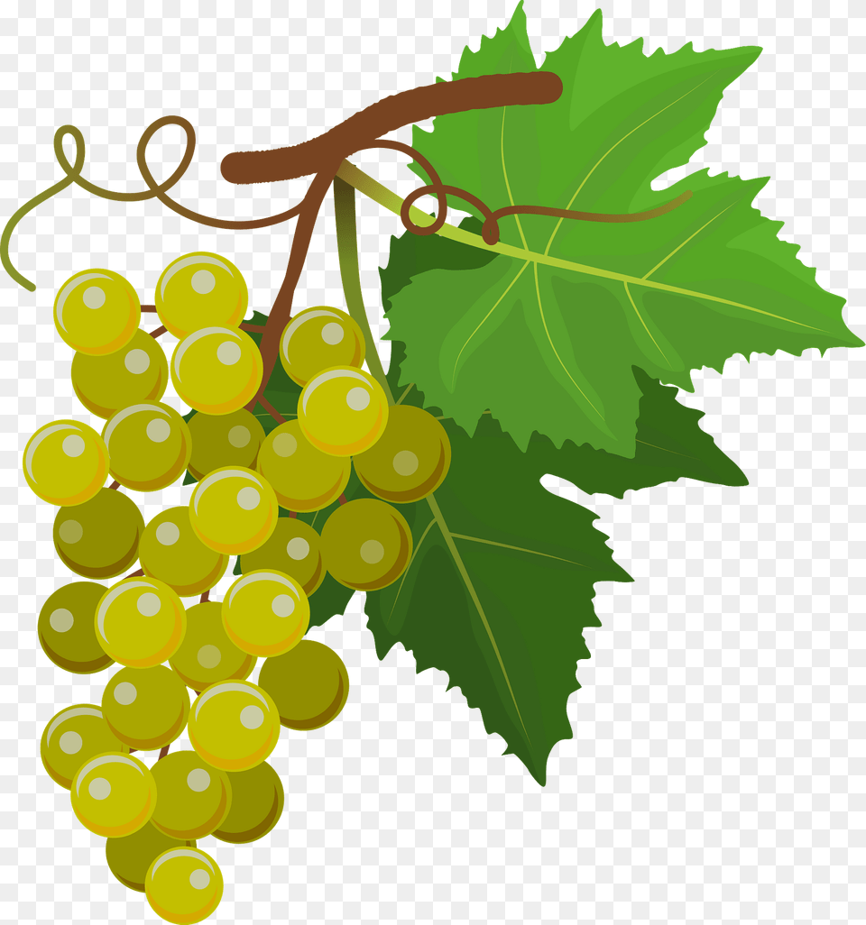 Green Grapes Clipart, Food, Fruit, Plant, Produce Png Image