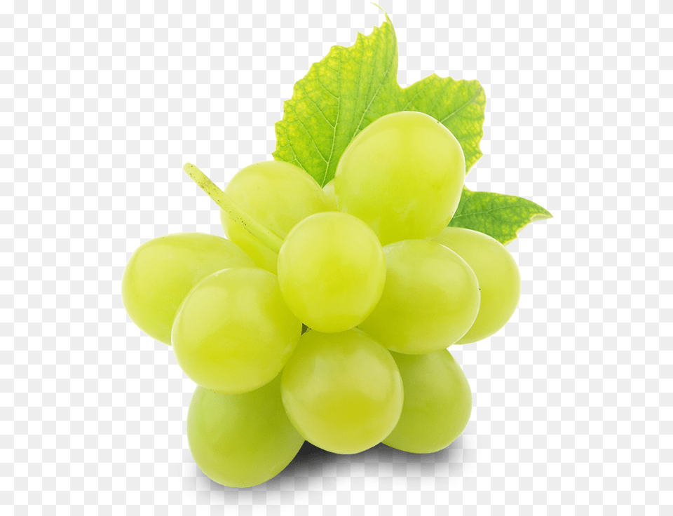 Green Grapes Download Grapes For Export, Food, Fruit, Plant, Produce Free Transparent Png