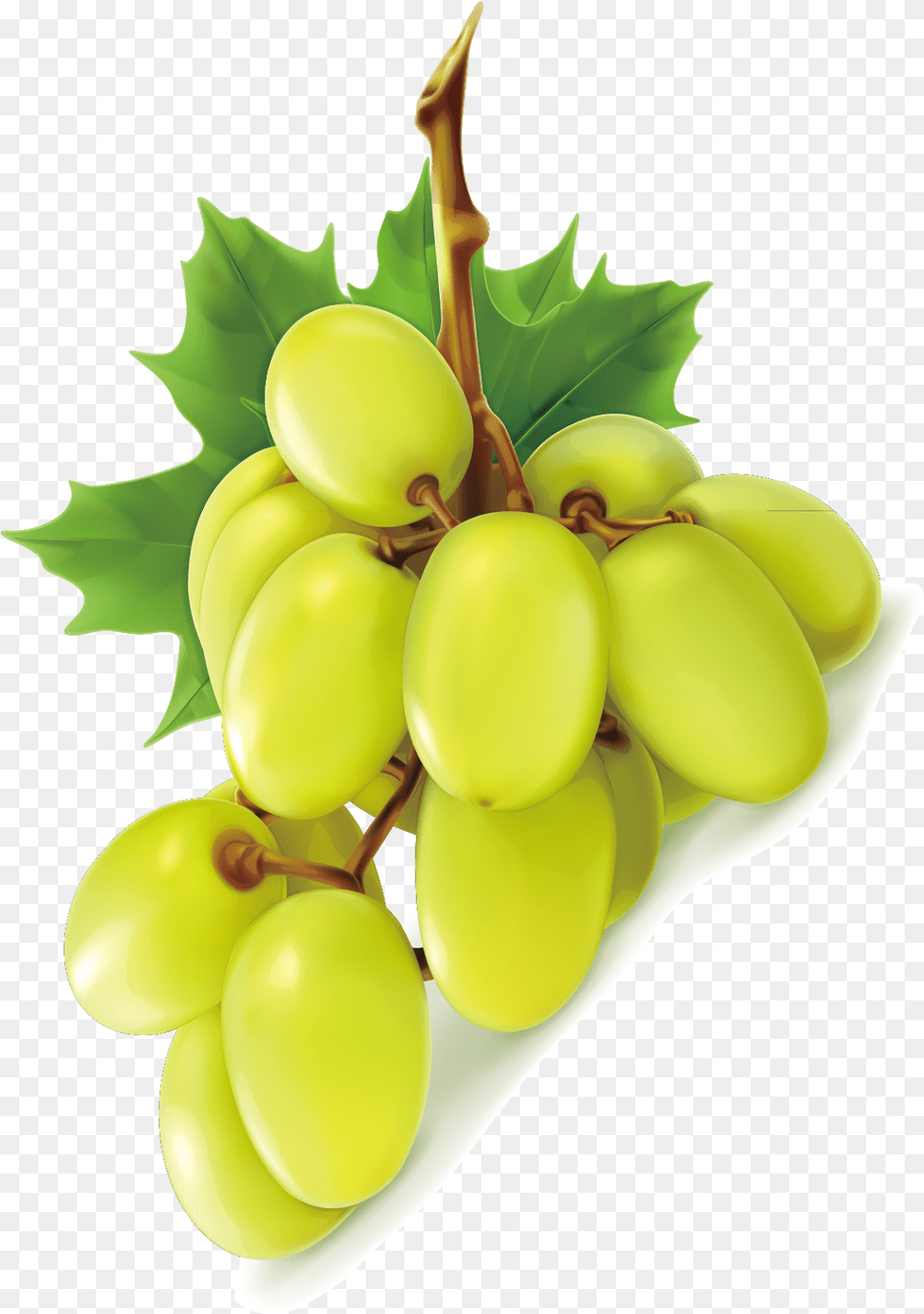 Green Grapes Grape Image Amp Grape Clip Art Uva Verde Sin Semilla, Food, Fruit, Plant, Produce Free Transparent Png