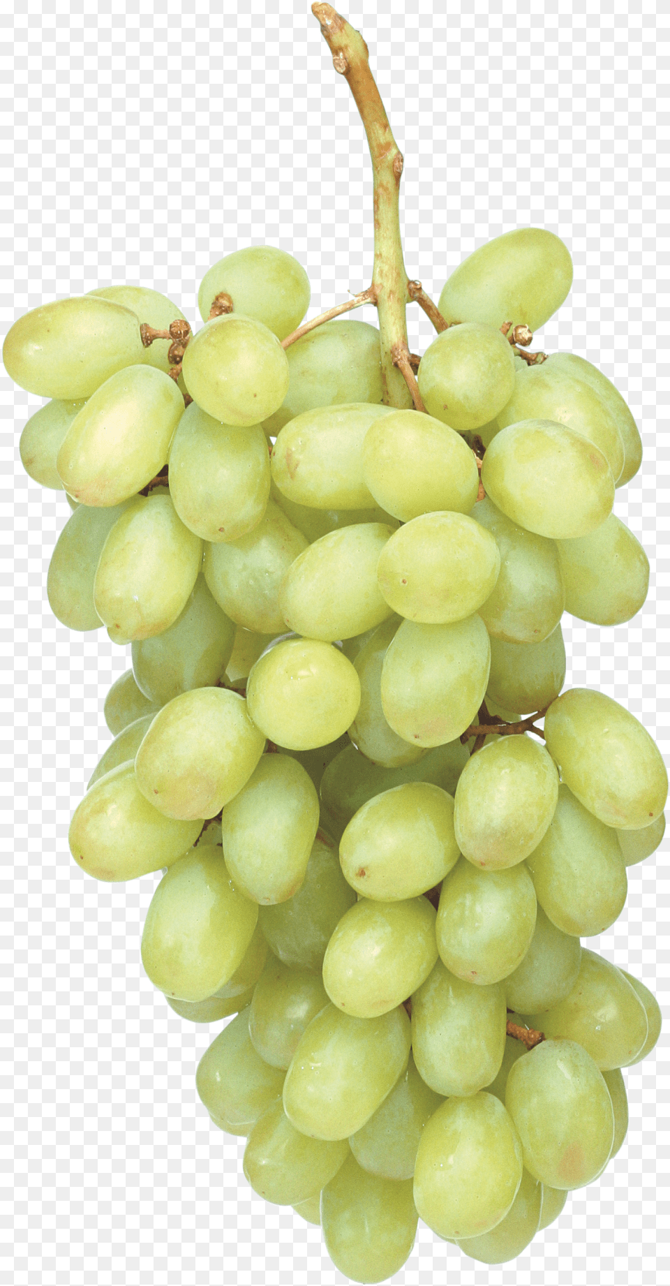 Green Grapes Green Grapes Cartoon, Food, Fruit, Plant, Produce Png Image