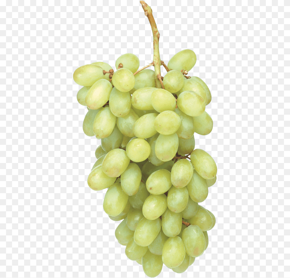 Green Grapes Images Transparent Grapes, Food, Fruit, Plant, Produce Free Png