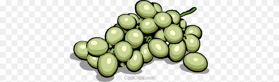Green Grapes Royalty Vector Clip Art Illustration, Food, Fruit, Plant, Produce Png Image