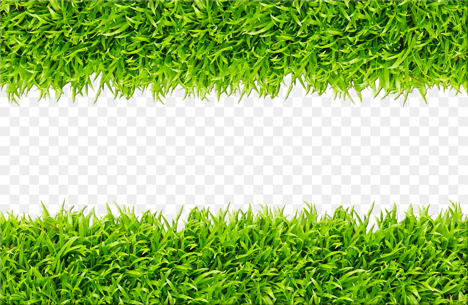Green Grass Background Design Free Png Download