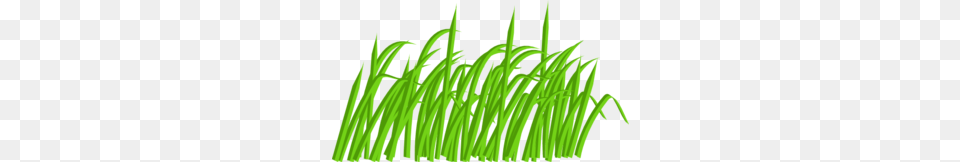Green Grass Blade Clip Art, Plant, Vegetation, Food, Produce Free Png Download