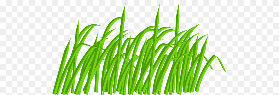 Green Grass Blade Clip Art At Clipart Library Blades Of Grass Cartoon, Plant, Vegetation, Food, Produce Png Image