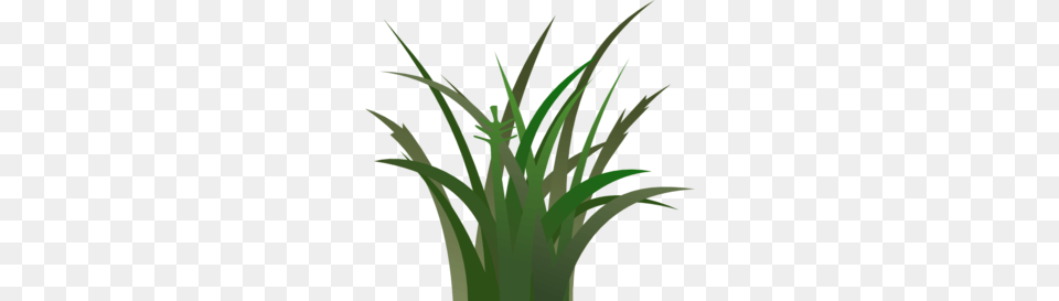 Green Grass Clip Art, Plant, Food, Leek, Produce Png