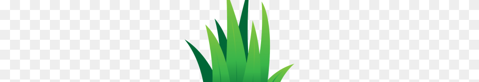 Green Grass Clip Art Green Grass Border Clipart, Leaf, Plant, Aloe Free Transparent Png