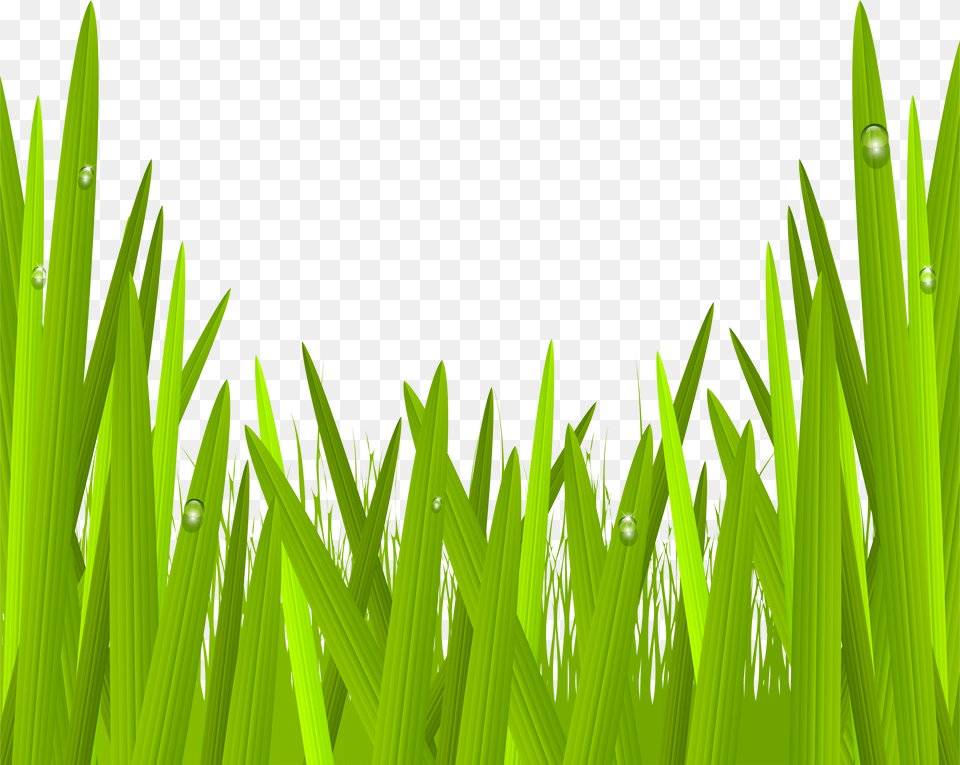 Green Grass Clip Art Image Gallery Transparent Green Grass Clipart Png