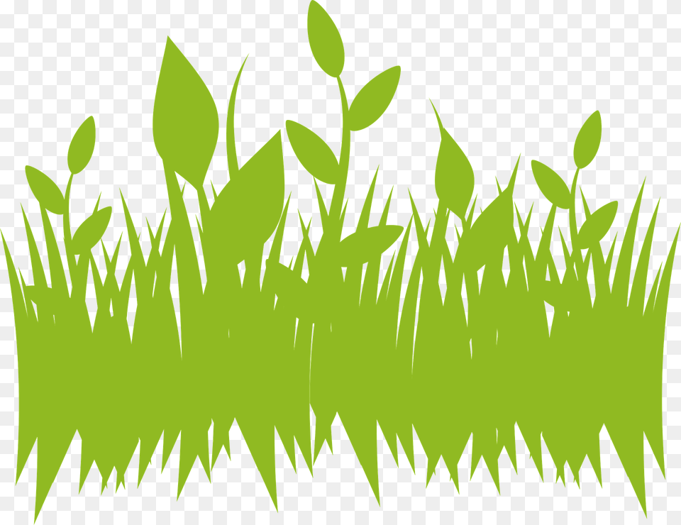 Green Grass Clipart, Leaf, Plant, Vegetation, Lawn Free Transparent Png