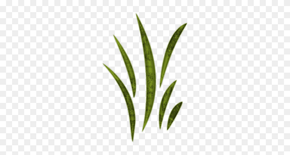 Green Grass Clipart, Herbal, Herbs, Plant, Leaf Png Image