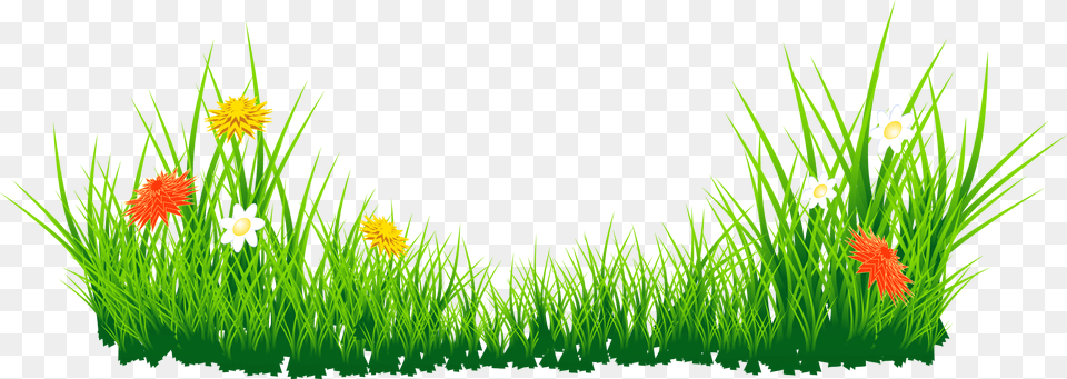 Green Grass Clipart Clipart Grass Hd Images Download, Plant, Flower, Lawn, Vegetation Png