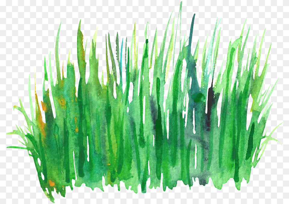Green Grass Cluster Transparent Decorative Watercolor Grass, Plant, Moss, Aquatic, Water Png