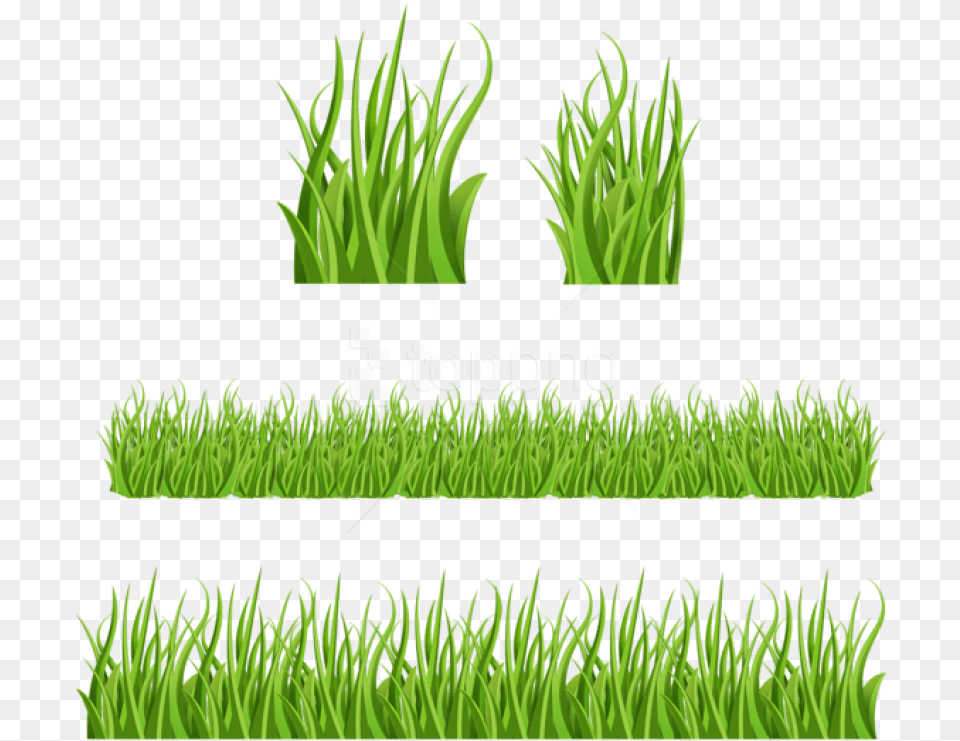 Green Grass Gras Zeichentrick, Lawn, Moss, Plant, Aquatic Free Transparent Png