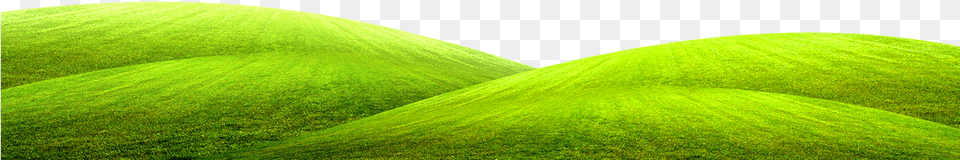 Green Grass Ground Picture Grassy Ground Clipart, Plant, Field, Grassland, Outdoors Free Png