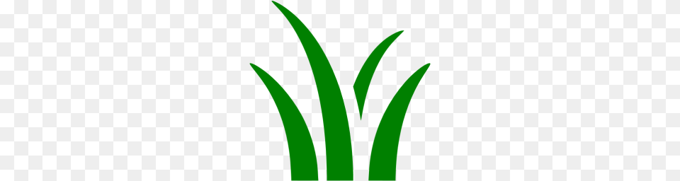 Green Grass Icon Free Png Download
