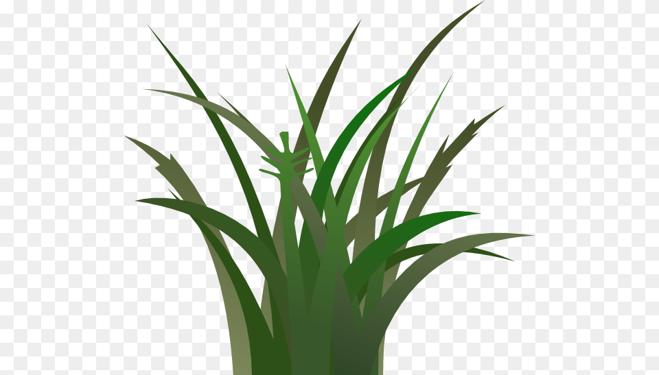 Green Grass Large Size, Plant Free Png Download