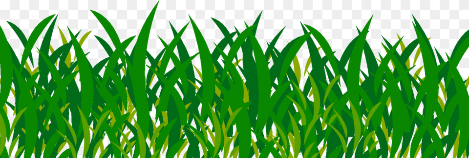 Green Grass Picture Background Grass, Aquatic, Lawn, Plant, Vegetation Png Image