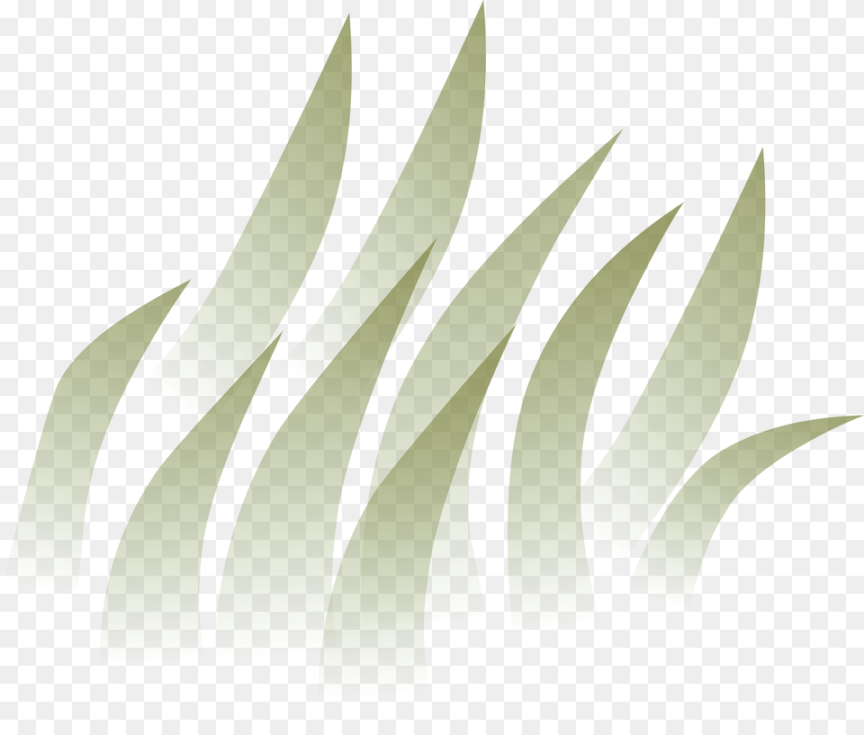 Green Grass Transparent Clipart, Plant, Art, Graphics Png Image