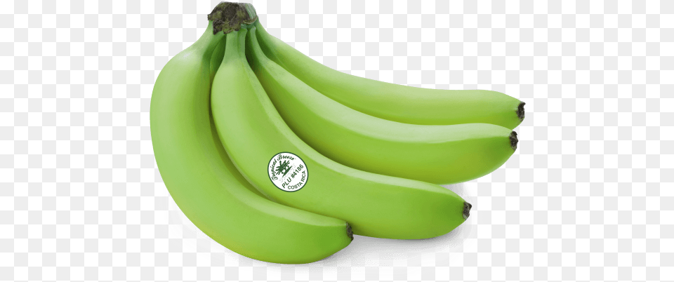 Green Green Cooking Bananas, Banana, Food, Fruit, Plant Png