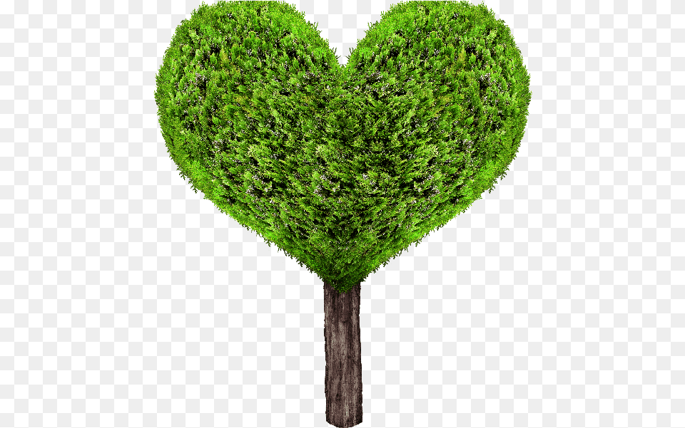 Green Heart Tree Heart Tree, Fence, Hedge, Plant Png Image