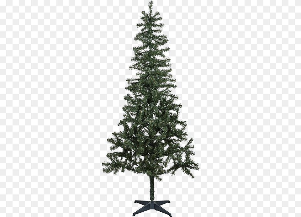 Green Holiday Tree Holiday Tree, Plant, Fir, Pine, Christmas Free Png