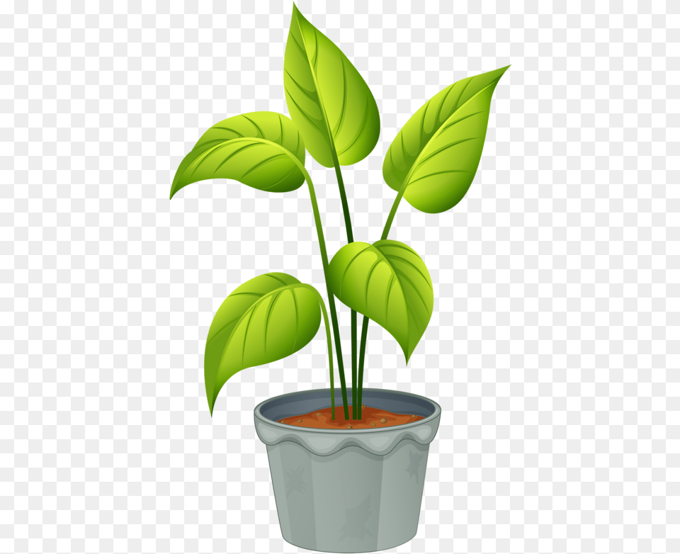 Green Home My Garden Valley Plants Plant Clipart, Leaf, Potted Plant, Herbal, Herbs Png