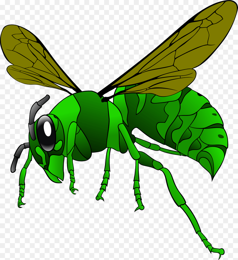Green Hornet Clipart, Animal, Bee, Insect, Invertebrate Free Transparent Png