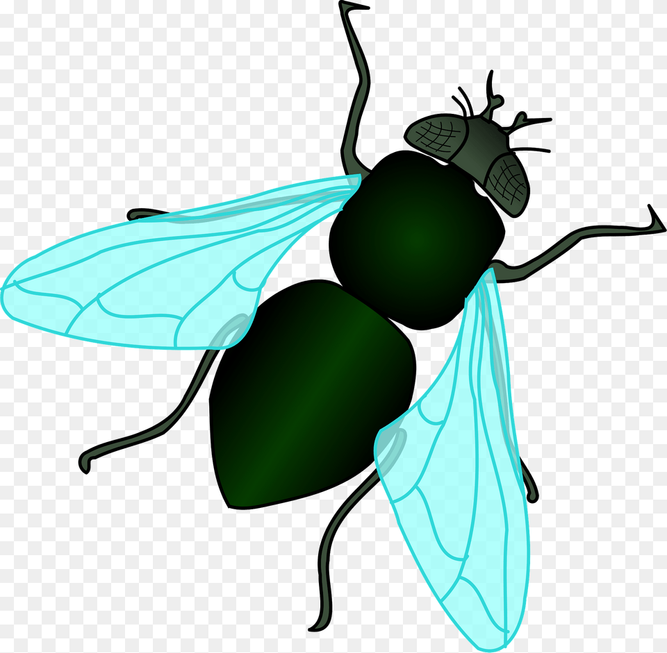 Green House Fly Clipart, Animal, Insect, Invertebrate, Bee Png