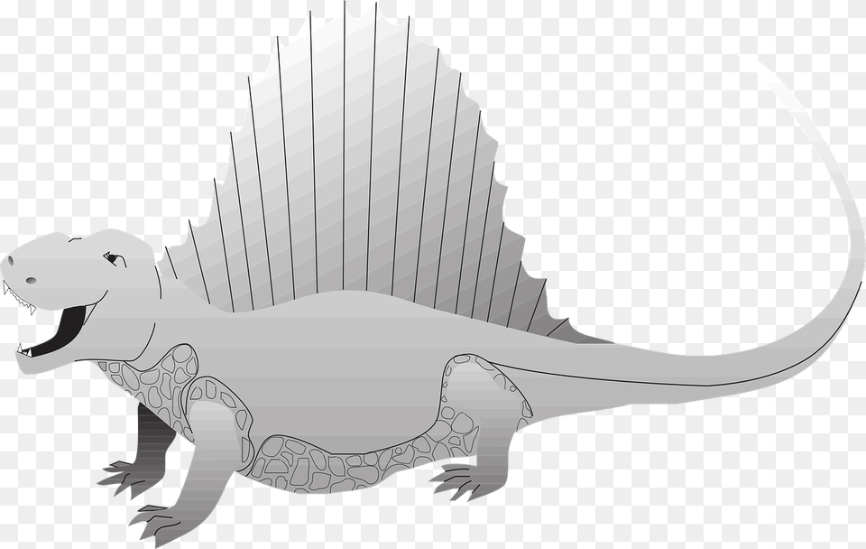 Green Iguana, Animal, Fish, Sea Life, Shark Free Transparent Png