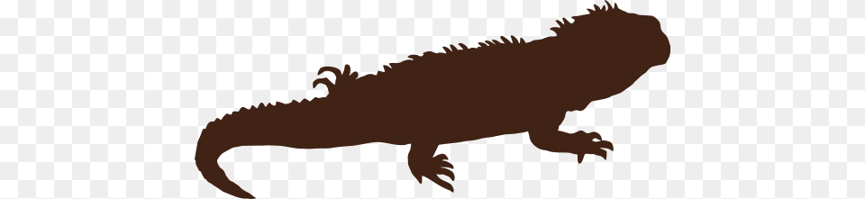 Green Iguana, Animal, Lizard, Reptile, Dinosaur Png Image