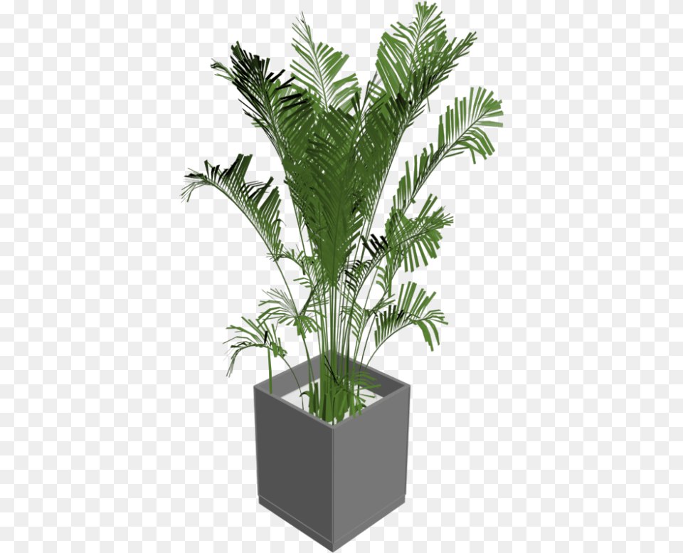 Green Indoor Plants 3d Plant, Vase, Tree, Pottery, Potted Plant Free Png
