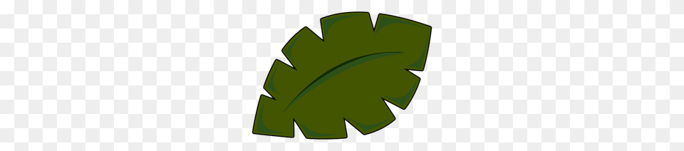 Green Ivy Leaf Clip Art, Plant, Disk Free Transparent Png