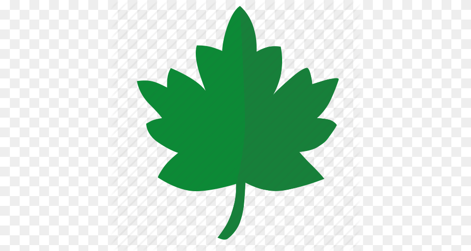 Green Label Leaf Oak Sign Tree Icon, Plant, Maple Leaf, Animal, Fish Free Png Download