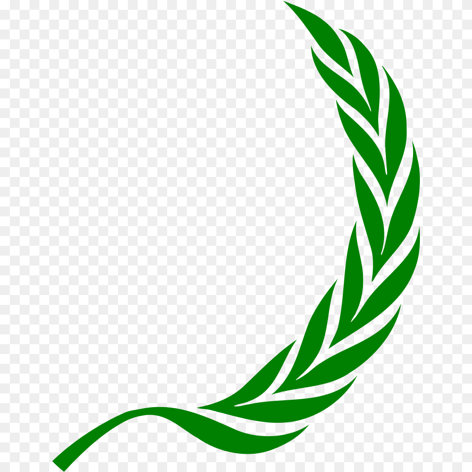 Green Laurel Wreath, Plant, Leaf Free Transparent Png