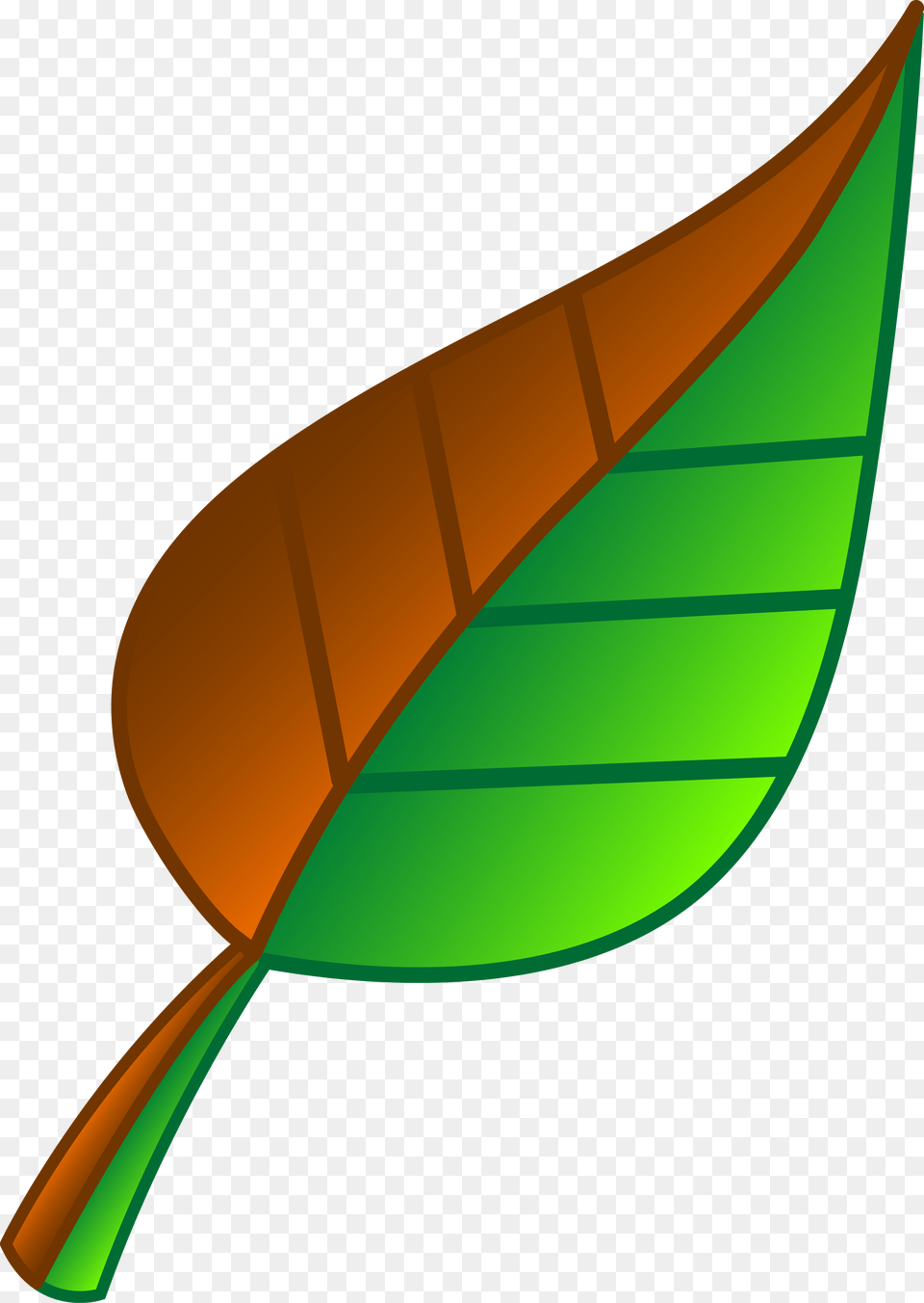 Green Leaf, Plant, Art, Texture, Accessories Free Png