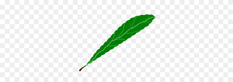 Green Leaf Animal, Plant, Herbal, Herbs Png Image