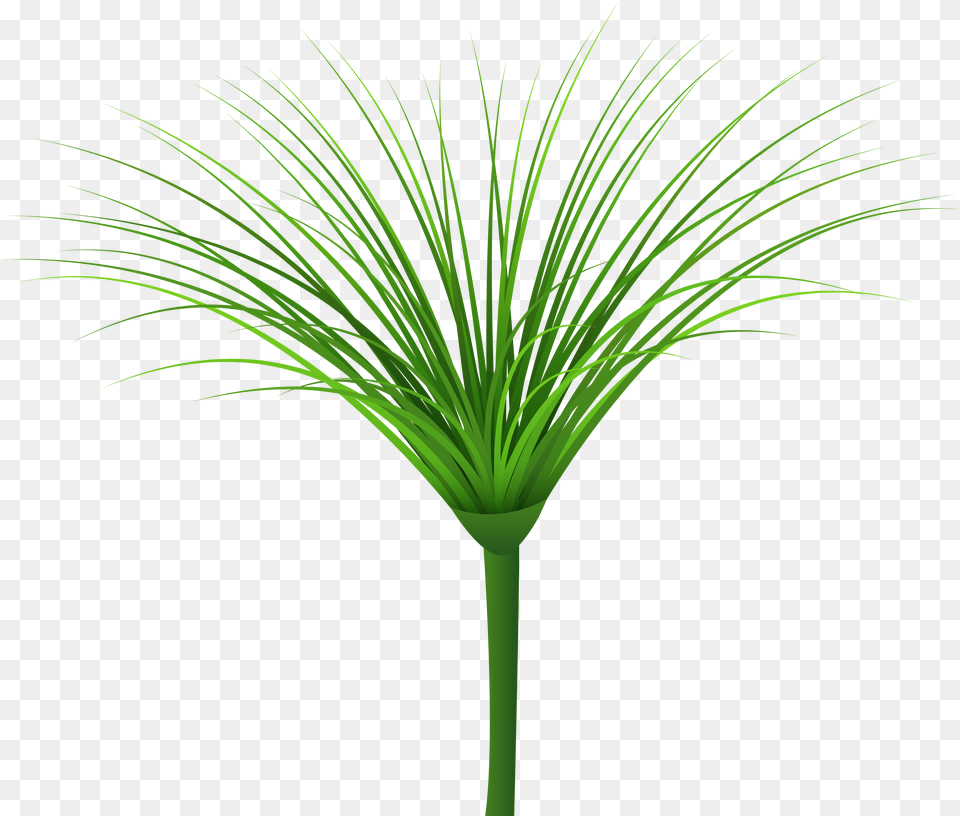 Green Leaf Clip, Plant, Grass, Food, Leek Png Image